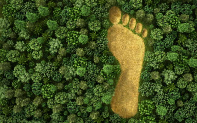 carbon-footprint-2